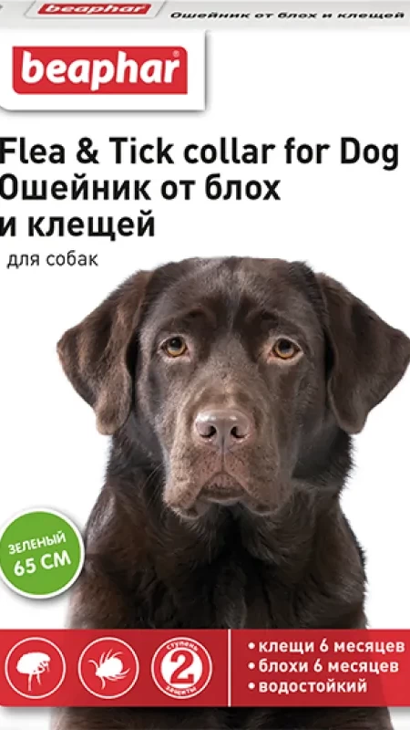 Нашийник а/б BEAPHAR д/соб. 65см салатовий