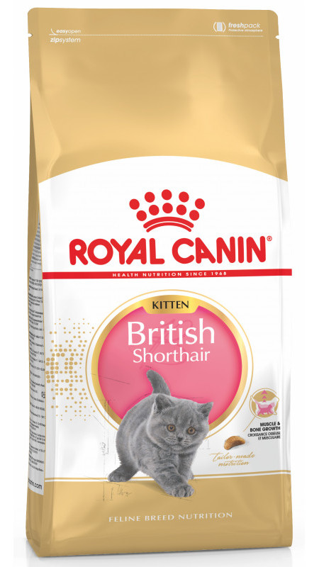 Royal Canin BRIT SHORTHAIR (10)  для котів