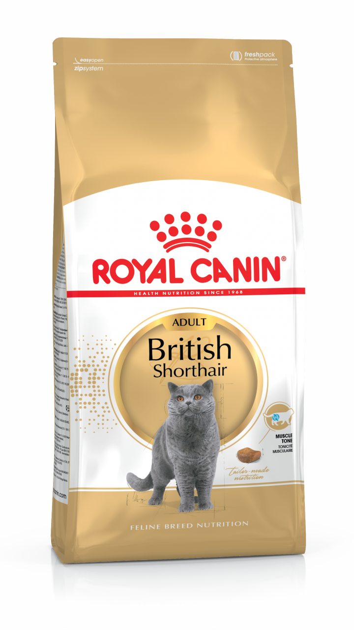 BRITISH SHORTHAIR ADULT 4 kg
