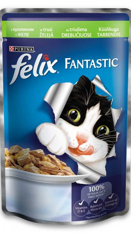 Feliks Fantastik.З кроликом.