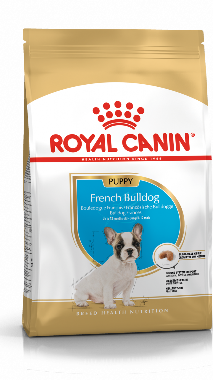 FRENCH BULLDOG PUPPY 1 kg