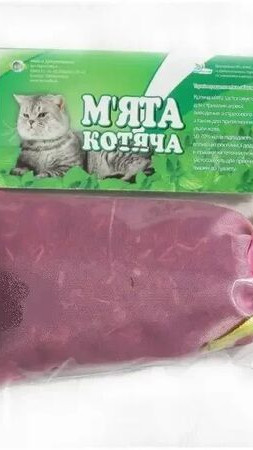 Котяча м'ята суха Фауна