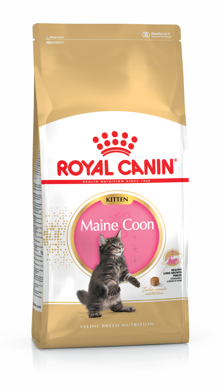 MAINECOON KITTEN 2 kg