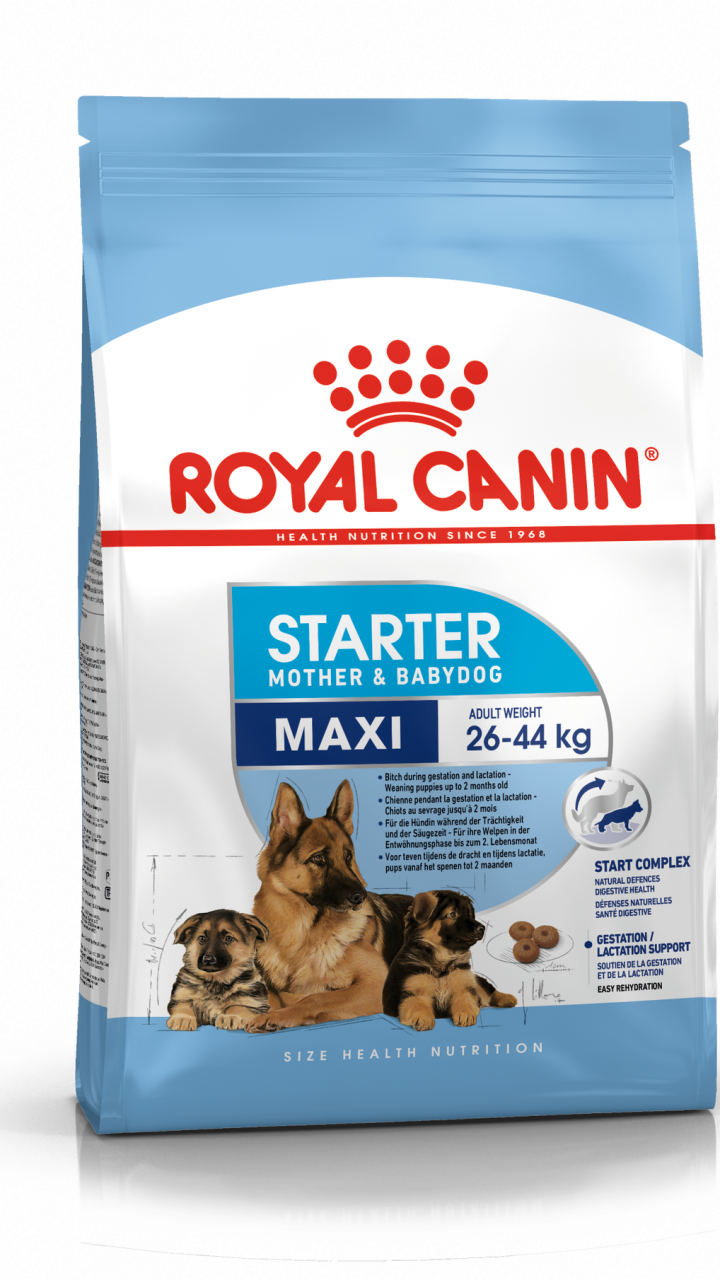 MAXI STARTER 1 kg