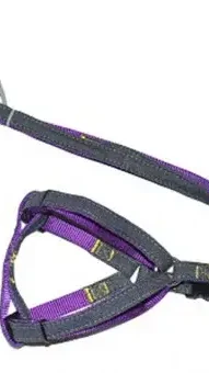 Поводок+шлея  purple 15*1200 мм  Анімалл