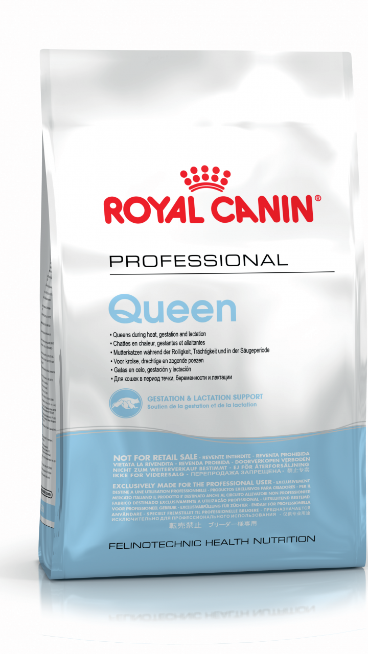 QUEEN 4 kg