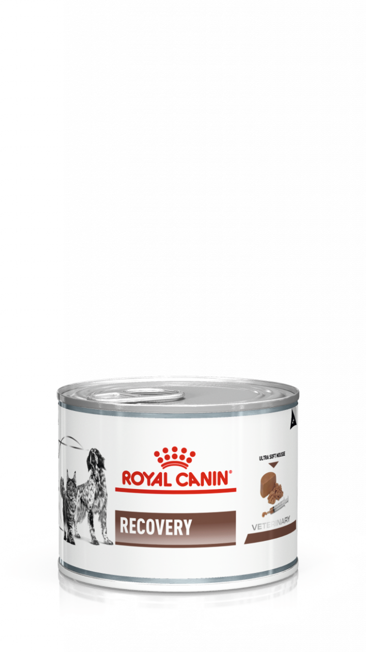 Royal Canin RECOVERY 0,195 kg