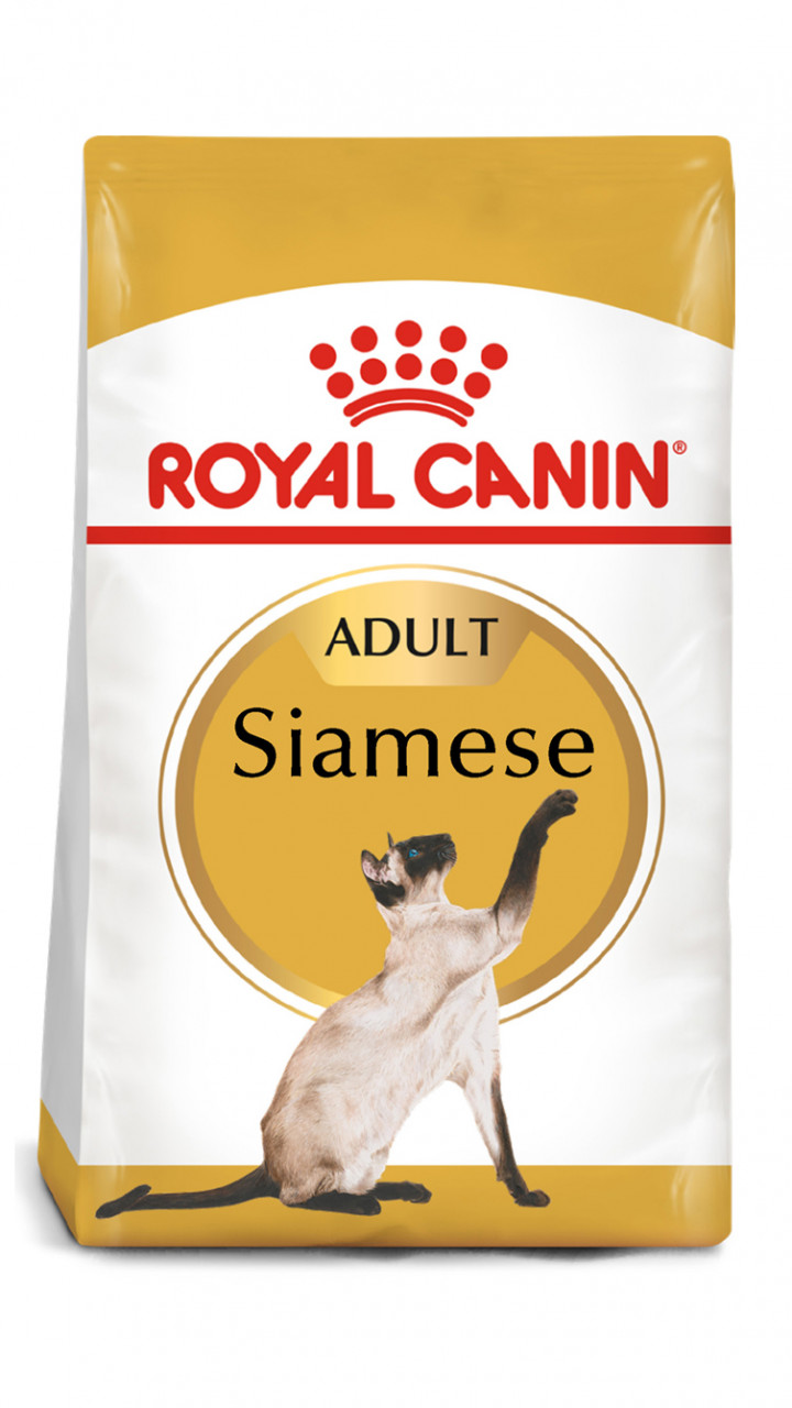 SIAMESE ADULT 10 kg