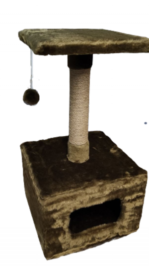 Буд.-джут."ТОМ"