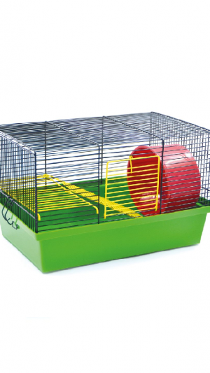 Клітка Джунгарик  /фарба/ 330х230х225