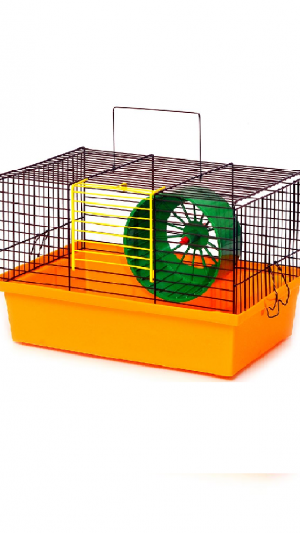 Клітка "ХОМ'ЯК" /фарба/ (330х230х220)