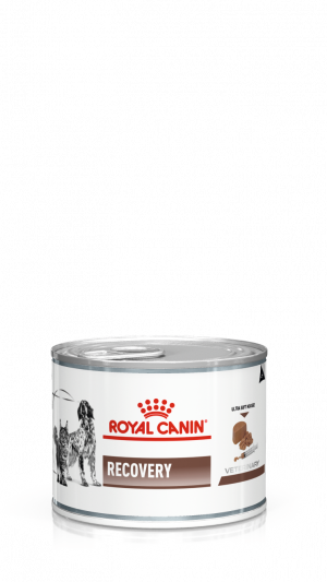 Royal Canin RECOVERY 0,195 kg