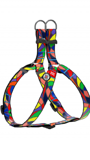 Шлей WAUDOG Nylon з малюнком "Вітраж" (ширина 20 мм, довжина 50-80 см)