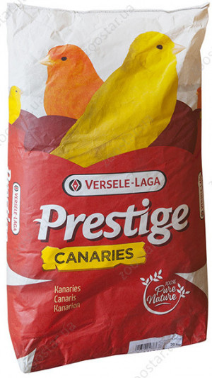 VL  Prestige КАНАРКА (5)